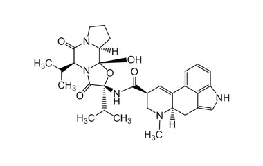 PA ENV 000476