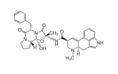 PA ENV 000492