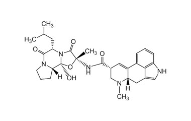 PA ENV 000493