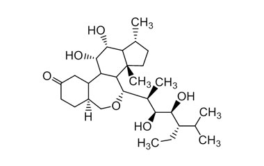 PA ENV 000547