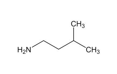 PA ENV 000564