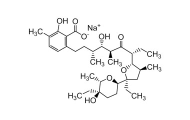 PA ENV 000572