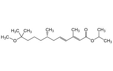 PA ENV 000581