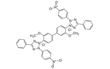 PA ENV 000626