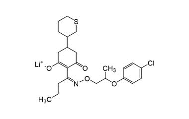 PA ENV 000702