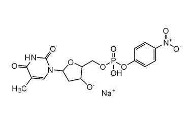 PA ENV 000818