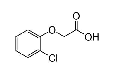 PA ENV 000971