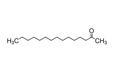 PA ENV 001004