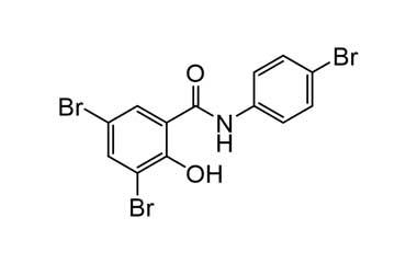 PA ENV 001015