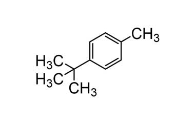 PA ENV 001060