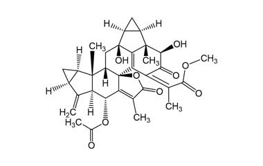 PA ENV 001418