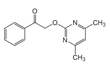 PAI 01 016041