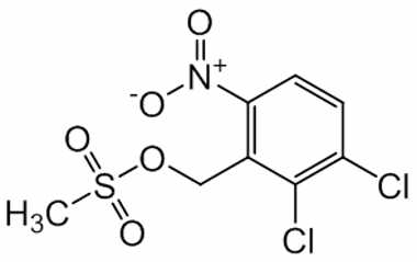 PAI 01 019030