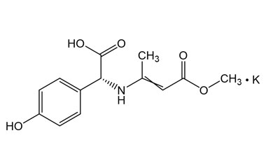 PAI 01 055004