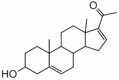 PAI 02 001060