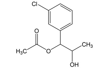 PAI 02 005056