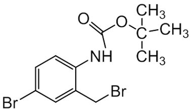 PAI 02 011010