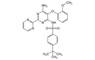 PAI 02 021001