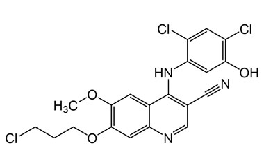 PAI 02 092001