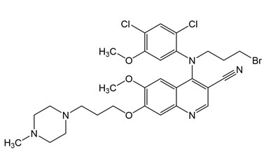 PAI 02 092004