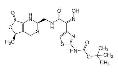 PAI 03 004051