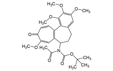 PAI 03 012021