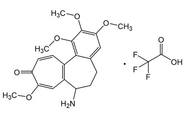 PAI 03 012023