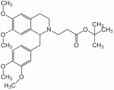 PAI 03 013010