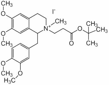 PAI 03 013020