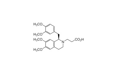 PAI 03 013052