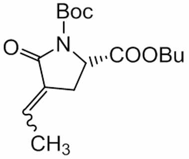 PAI 03 017020