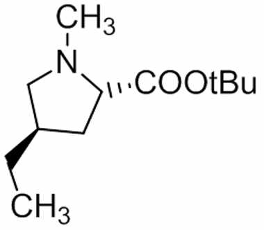 PAI 03 017130