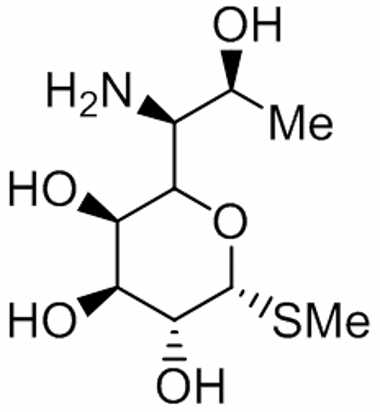 PAI 03 017140