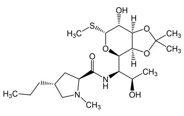 PAI 03 017211