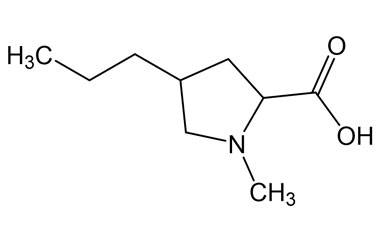 PAI 03 017223