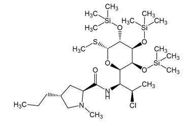 PAI 03 017225