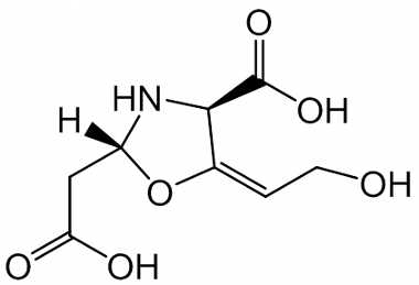 PAI 03 018120