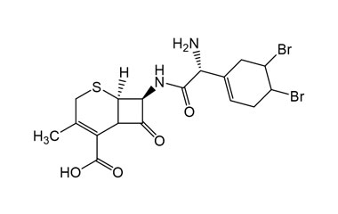 PAI 03 029001