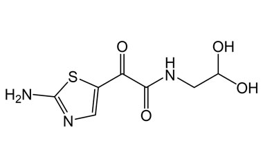 PAI 03 030250