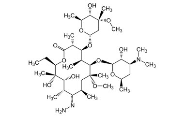 PAI 03 034060