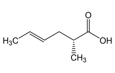 PAI 03 038048