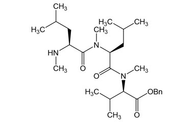 PAI 03 038061