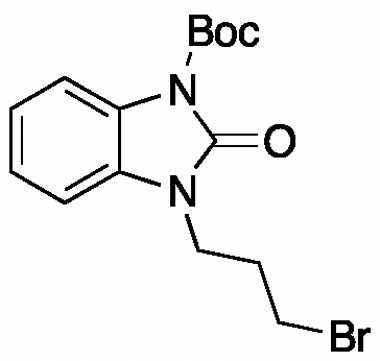 PAI 04 009020