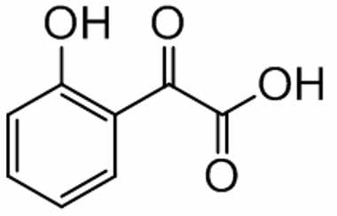 PAI 04 014020