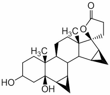 PAI 04 018070