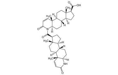 PAI 04 022060