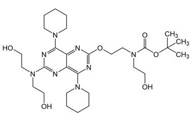 PAI 04 033002