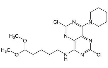 PAI 04 033003