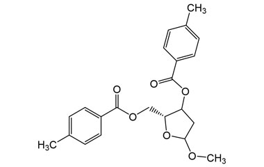 PAI 04 075005