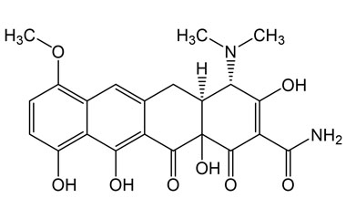 PAI 04 287002